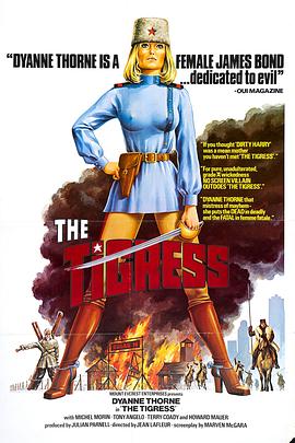 seo优化专员简历